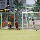 삼호초등학교 이미지