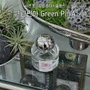 원영향길 | 부산 서면 그린핀아 GreenPlnA 향수공방 원데이클래스 조향수업 후기