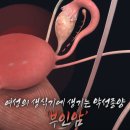 남경24시 이미지