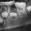 신종호치과의원 이미지