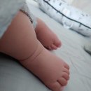 태영이불 이미지