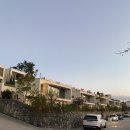 비고리조트 9 이미지