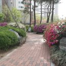 어진마을한화꿈에그린아파트 이미지