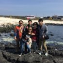 고갠드르법환 이미지