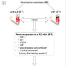 Re:Strengthening the Brain—Is Resistance Training with Blood Flow Restriction an Effective Strategy for Cognitive Improvement? 이미지