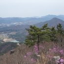 당산화원 이미지