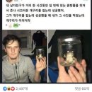 새집 이미지