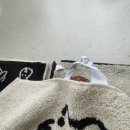 뽀뽀야어린이집 이미지