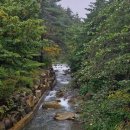 솔내음과 물소리 이미지