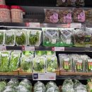 홈플러스 전주점 | 전주 홈플러스 대체 고민 끝, 전주 세이브존 장보기 후기