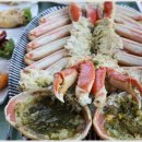 너도대게나도대게 이미지