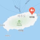 천년의 숲 화장실 이미지