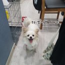 미소 이미지
