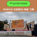 서울정신요양원 | 송파복지박람회 2025 현장 다녀왔어요! 지역을 넘어 이어지는 돌봄의 연결, 카네이션 요양원의 배움 기록