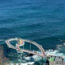 버드소리영도점 | 동해 묵호 혼자 여행 논골담길 바람의언덕 등대전망대 도째비골 스카이밸리 해랑전망대