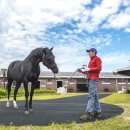 수일목장 이미지