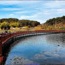 은파호수공원 이미지