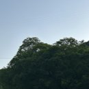 가림산둘레길 | 애견동반숙소 - 까망감스테이 / 애견동반 식당 - 담양갈비창고