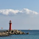 마음에 꽃을 피우는 행복한 생활원예 | 낯설었지만 따뜻했던 제주 한 달(게하 스텝,제주 한달살이 후기)