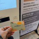 호텔 서귀피안 | 제주 서귀포 숙소 추천 호텔 서귀피안 오션뷰 예약 꿀팁 내돈내산 후기