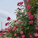 비엔베뉴 이미지