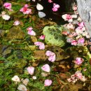 해운대에 올라 이미지