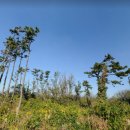 영락1농로 이미지