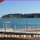 일산수산물판매센터 Daum카페