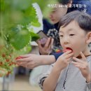 베릴리Berily - 논산시 호월로113번길 29 | 베릴리Berily