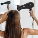 블라우 | 블라우퐁트 초고출력 헤어드라이어 사용 후기 추천