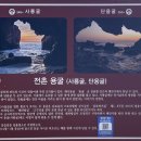 전촌물회 이미지
