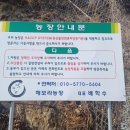 보라농장2 이미지