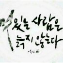 시나브로 이미지