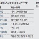 다올한방병원 네이버블로그