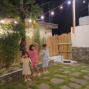 플로리다 봉봉 이미지