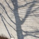 아트하우스 두드림 | 제주도 에어비앤비추천 / 한림읍 에어비앤비 아트하우스두드림 명월랑룸 후기