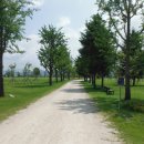 남한강자전거길 2 이미지