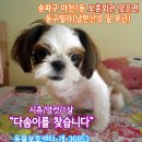 송파구 보훈회관 이미지