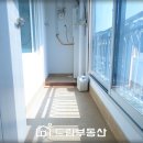 동화5차 이미지