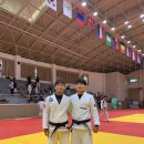 본주짓수동탄 Daum카페