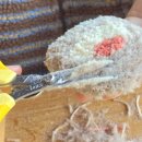 버섯구지체험마을 | 파주 헤이리마을에서 건강한 도파민 채우기! <앤드엣 터프팅공방> 체험후기