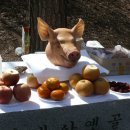 우면산3-21 이미지