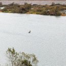 섬진강 침실습지 이미지