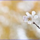 (주)비앤비인터네셔널 이미지