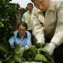 김동진농장 이미지