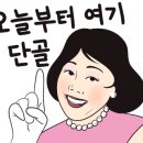 미나애견 이미지