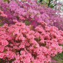 The채움공인중개사사무소 이미지