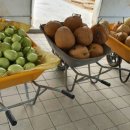 대죽농장 이미지