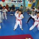 청일백호태권도 이미지