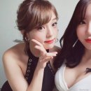 루비레드 Daum카페